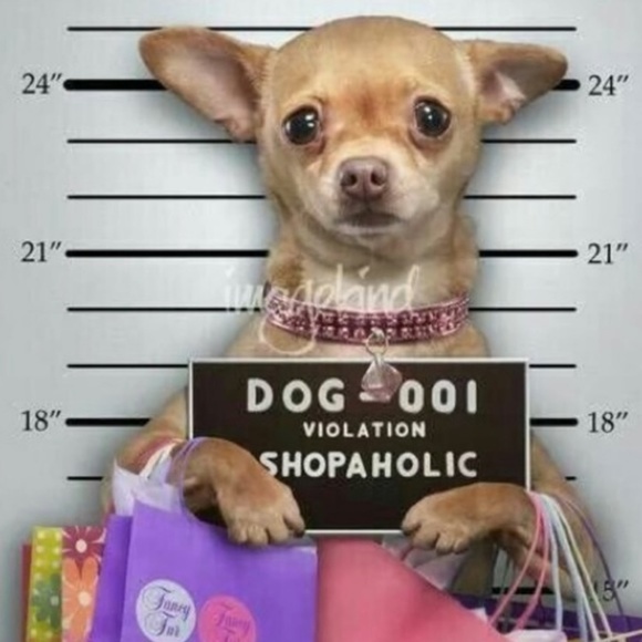 NEW HOOTERS GIRLS UNIFORM TANK SHORTS SM/MED - Picture 6 of 6